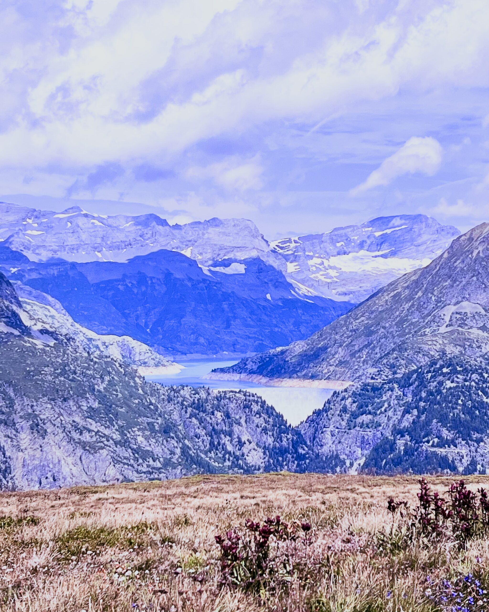 why-choose-us IMG 6856 Scaled